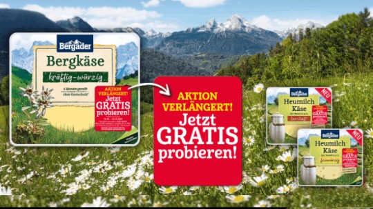 Bergader Käse - Gratis testen