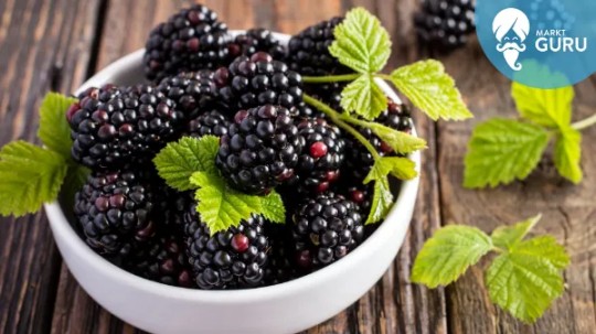 Brombeeren