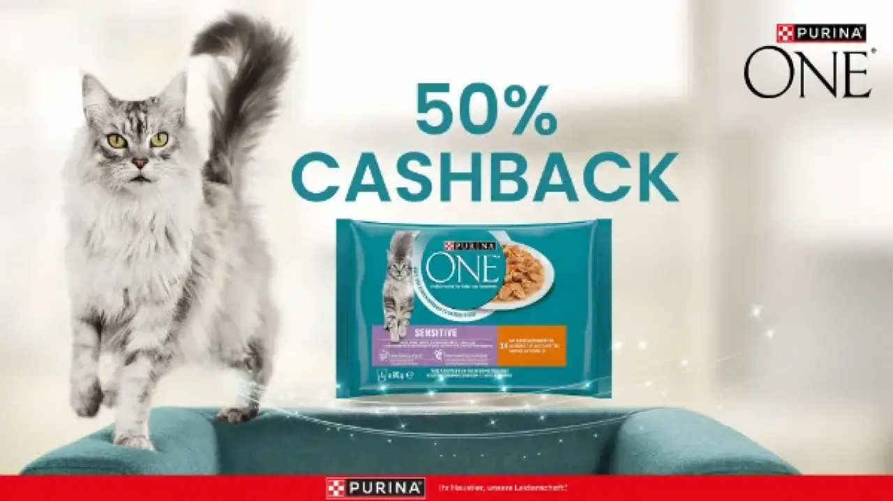 PURINA ONE Katzennahrung