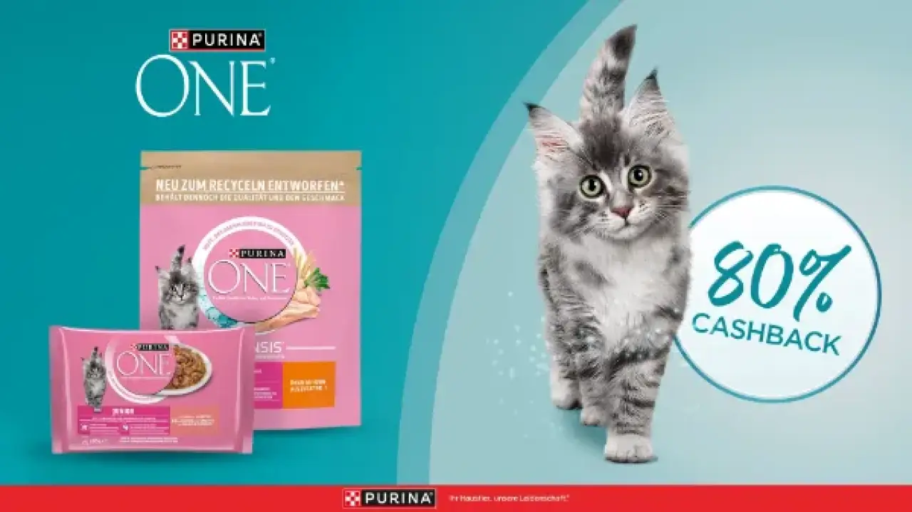 PURINA ONE Junior Katzennahrung