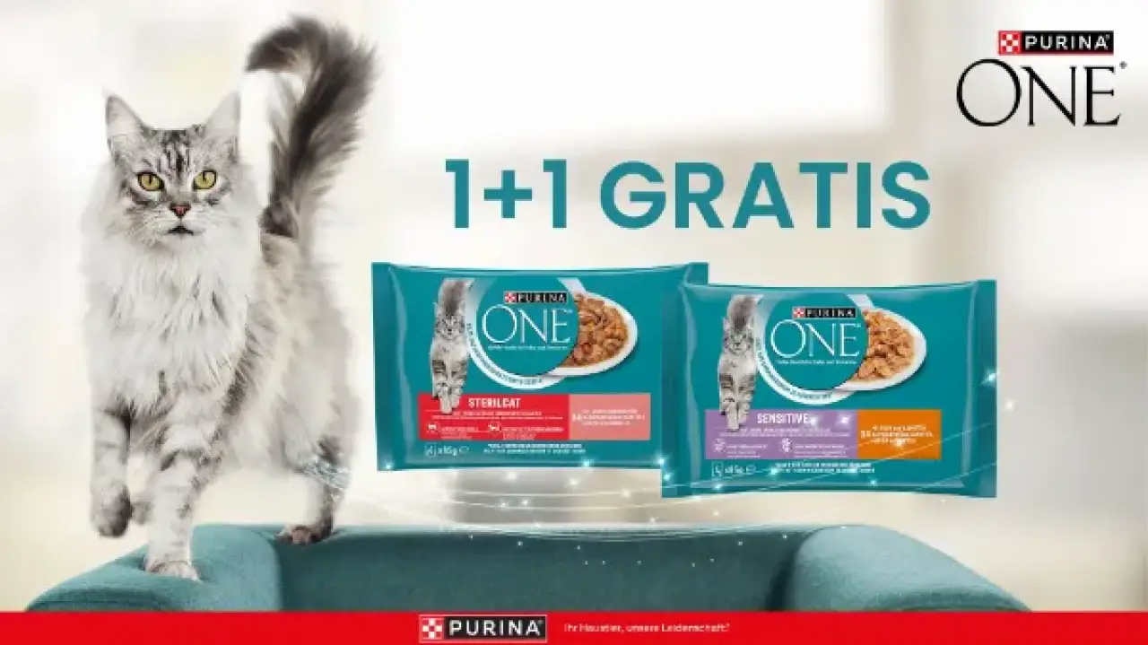 PURINA ONE Katzennahrung