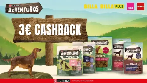 AdVENTuROS Hundesnacks