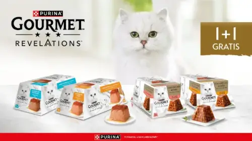 GOURMET Revelations – Eine erlesene Köstlichkeit, exquisit serviert