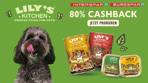 80% auf Lily´s Kitchen Hundefutter