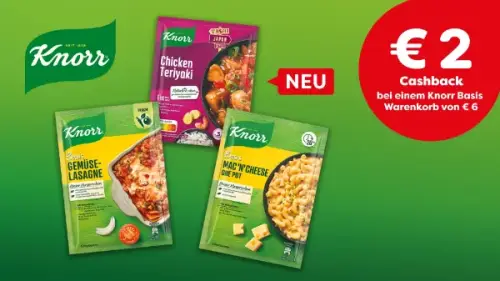 Knorr Basis