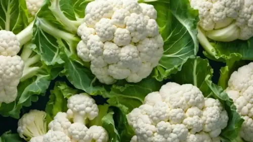 Blumenkohl