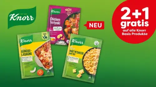 Knorr Basis 2+1