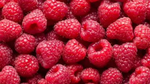 Himbeeren
