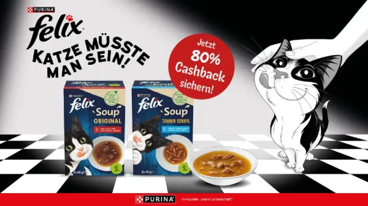PURINA FELIX Soups 80%