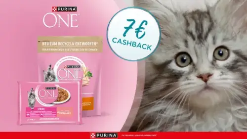 PURINA ONE Junior – Starte Heute für ein gesundes Morgen