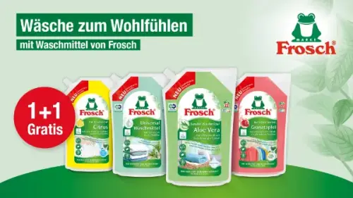 Frosch Waschmittel (Beutel)