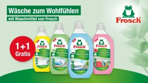 Frosch Waschmittel (Flasche)