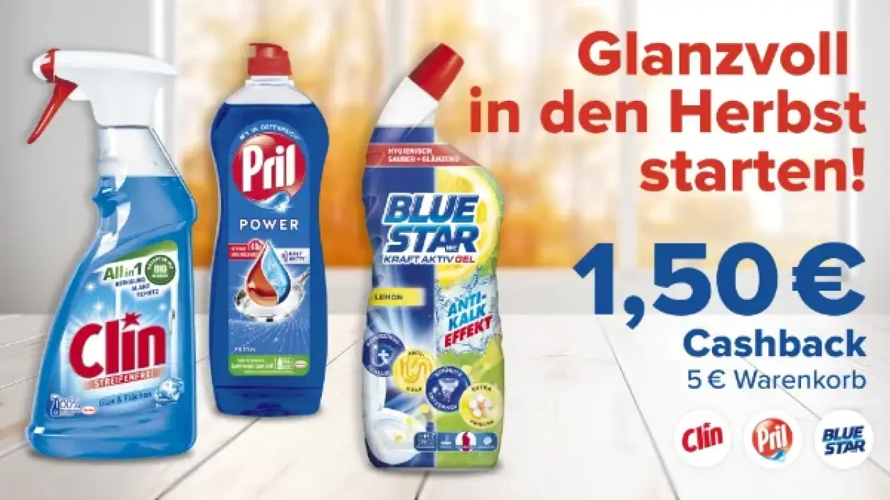 Herbstputzaktion