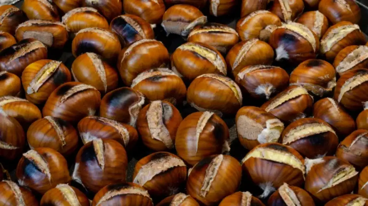 Maroni