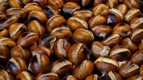 Maroni