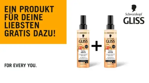 GLISS Express-Repair-SpĂĽlung