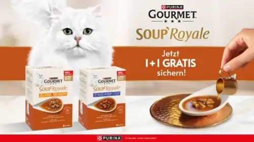 Entdecke die neue GOURMET Soup Royale