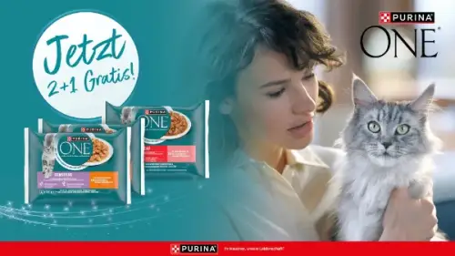 2+1 Purina ONE Nassnahrung