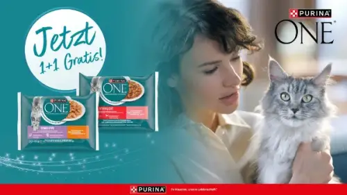 1+1 Purina ONE Nassnahrung