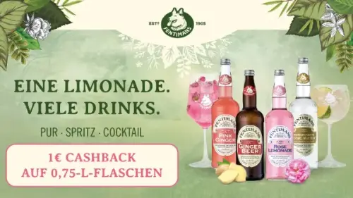 Fentimans Premium-Limonaden & Mixers 0,75l