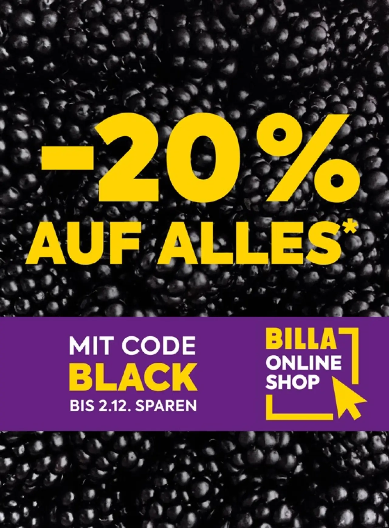 20 % Rabatt auf alles im BILLA Online Shop – nur bis 2.12.