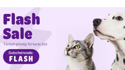 10% Rabatt auf alles bei Zooplus