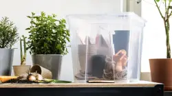 20% Rabatt auf SAMLA Boxen bei IKEA