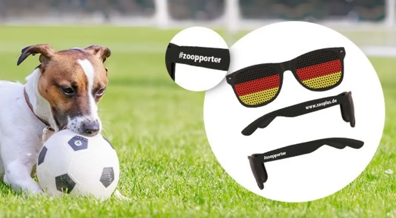 GRATIS Fan-Brille für alle Fußball Fans